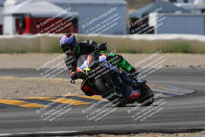 media/Mar-12-2023-SoCal Trackdays (Sun) [[d4c8249724]]/Turn 2 (1130am)/